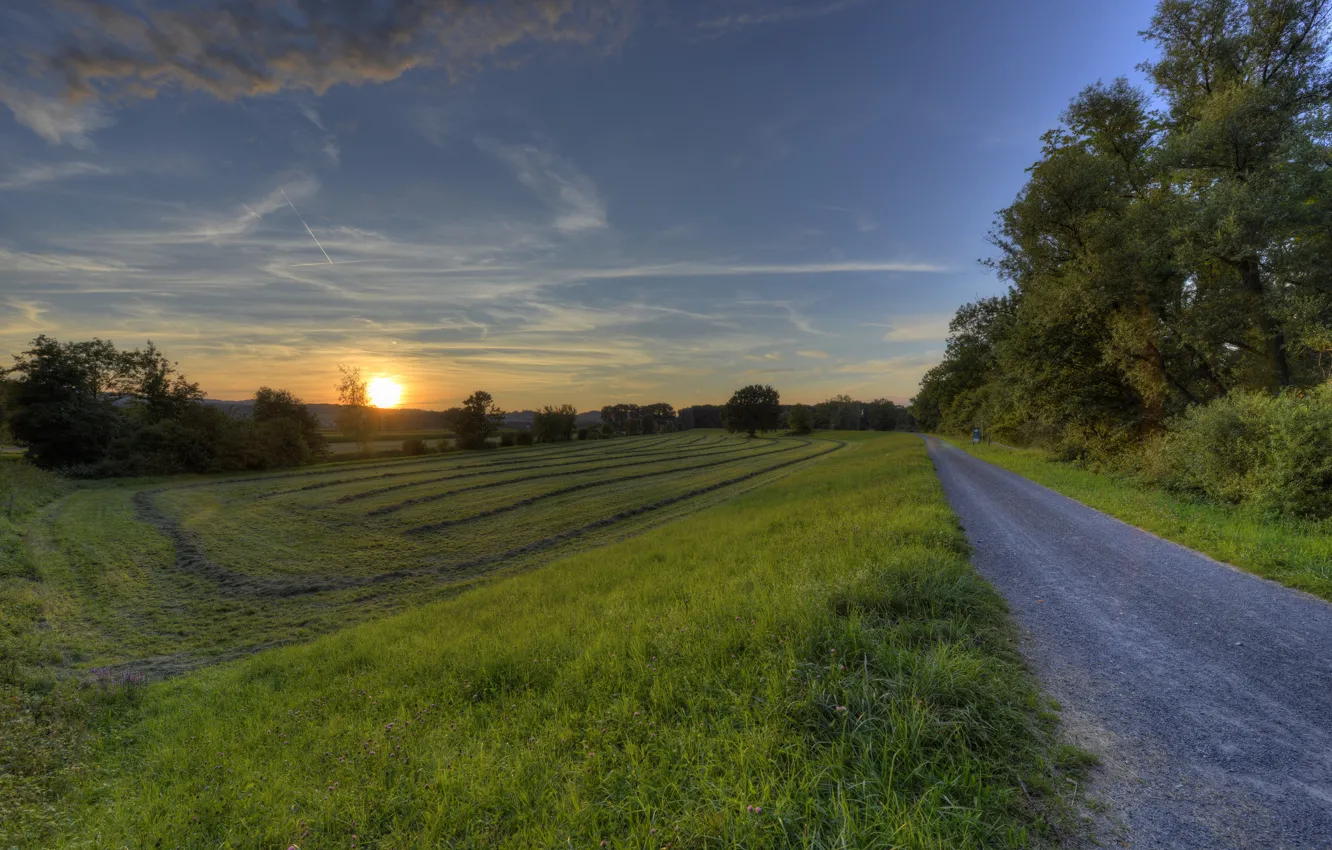 Photo wallpaper road, field, trees, sunset