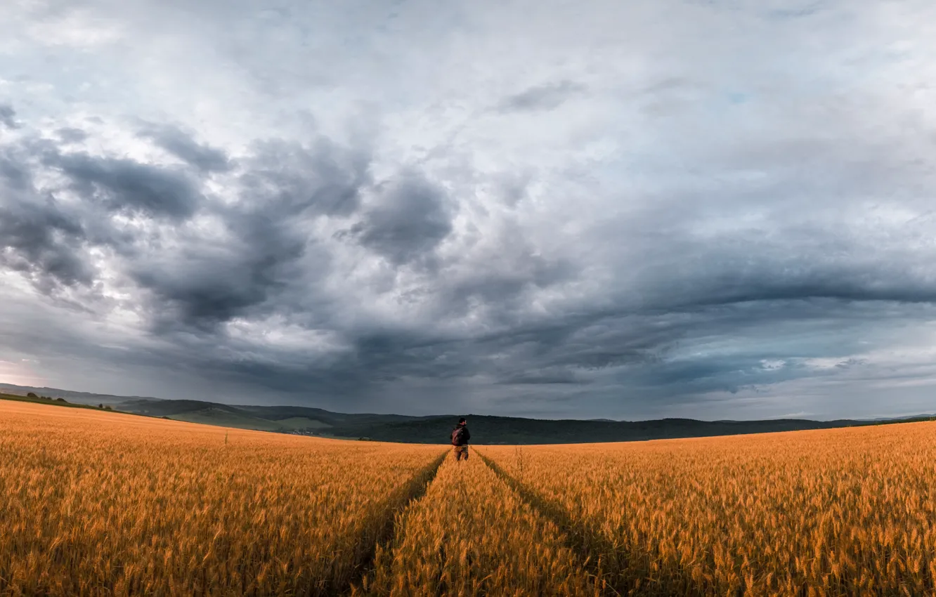 Photo wallpaper field, the sky, people