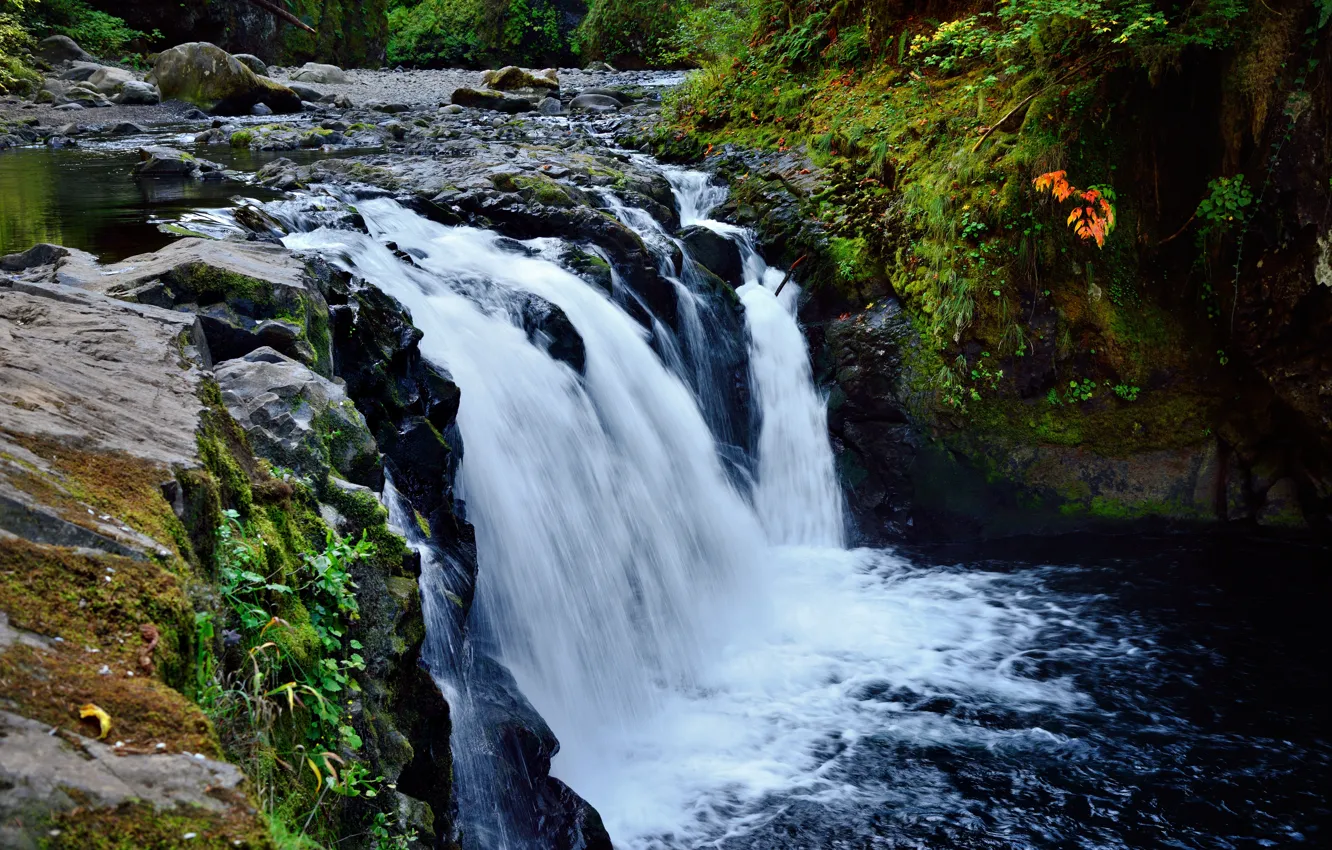 Photo wallpaper water, nature, river, stones, waterfall, stream