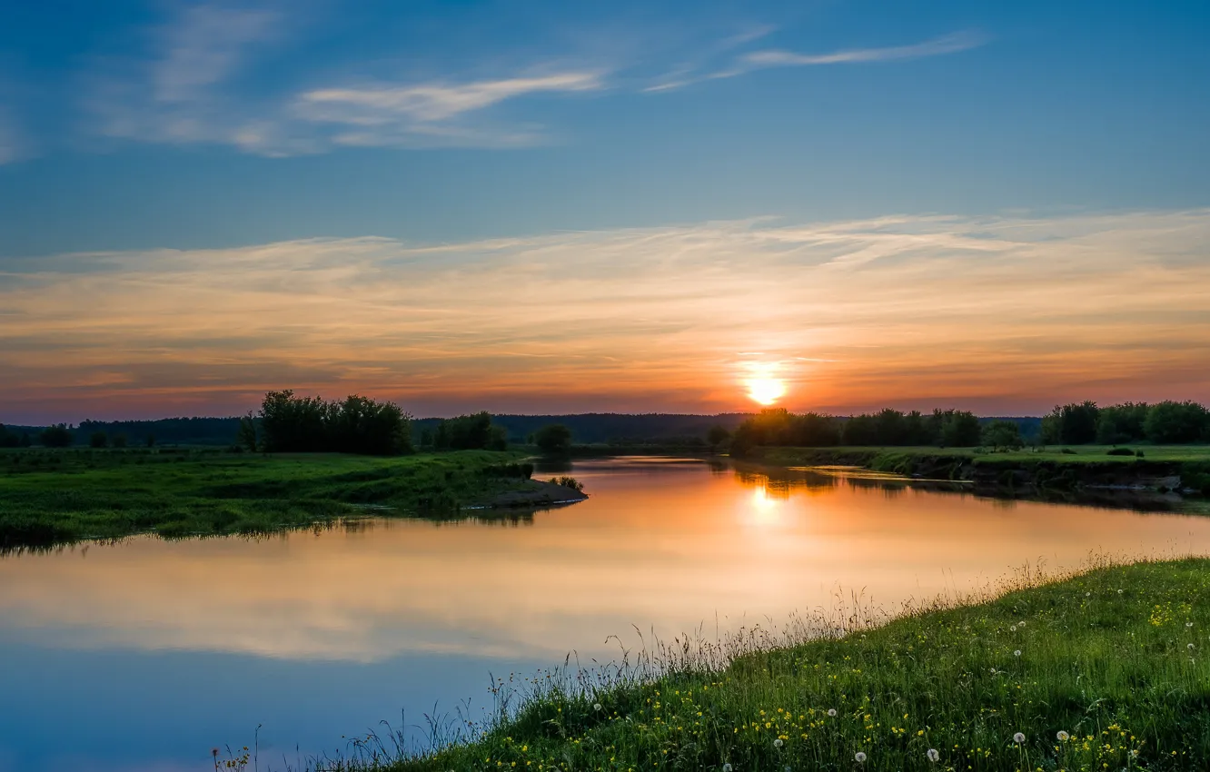 Photo wallpaper forest, summer, the sky, grass, the sun, clouds, sunset, flowers