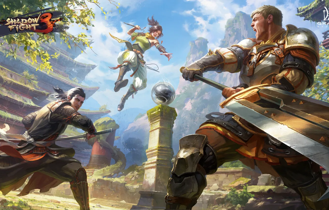 Photo wallpaper weapons, warrior, rage, fight, Shadow Fight