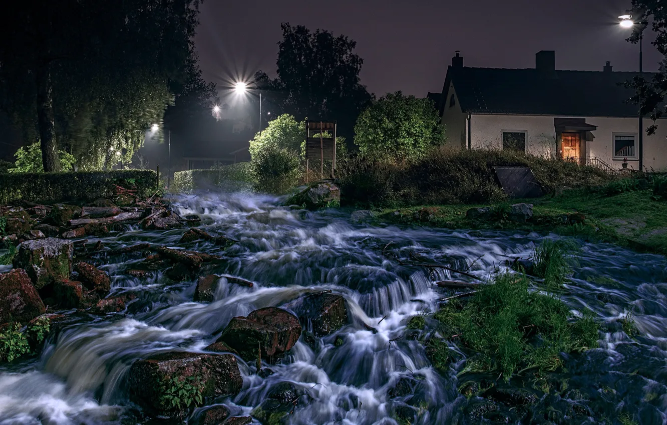 Photo wallpaper grass, trees, night, lights, stream, stones, for, home