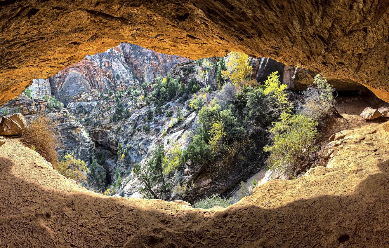 Photo wallpaper forest, light, trees, mountains, rocks, view, arch, cave