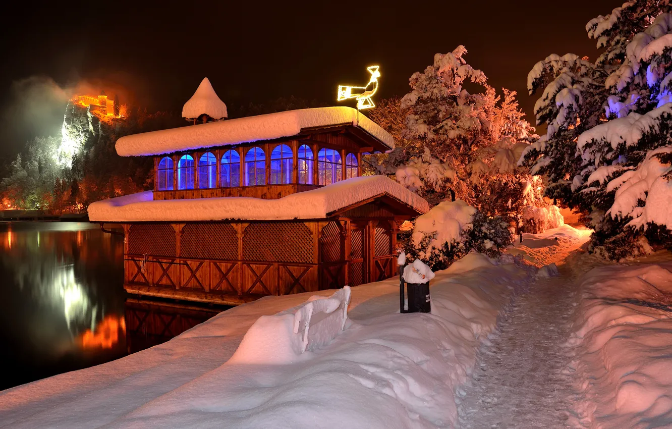 Photo wallpaper winter, forest, snow, trees, night, lights, lake, castle