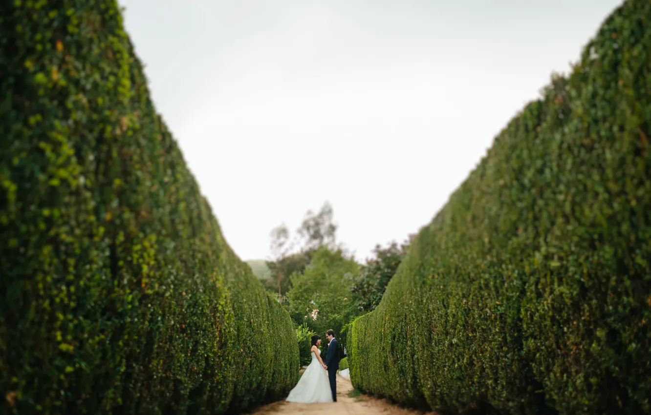 Photo wallpaper dress, costume, lovers, the bride, the groom