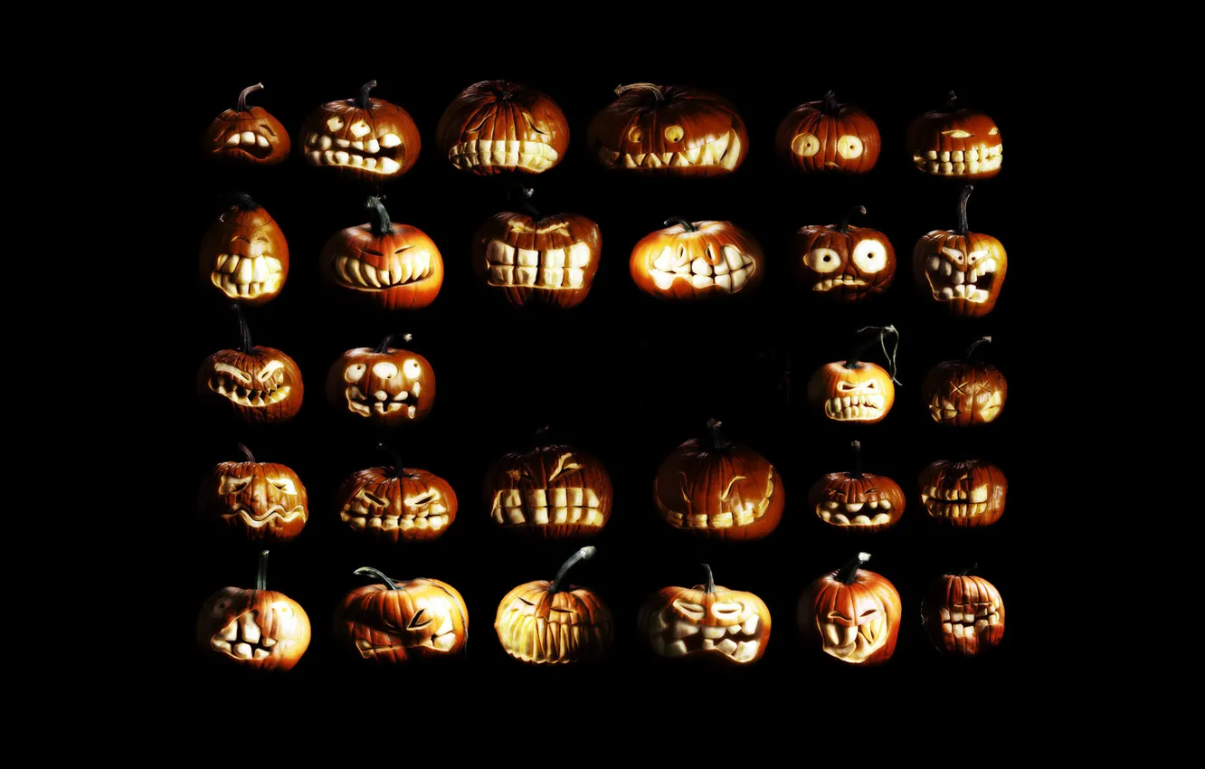 Photo wallpaper pumpkin, Halloween, halloween