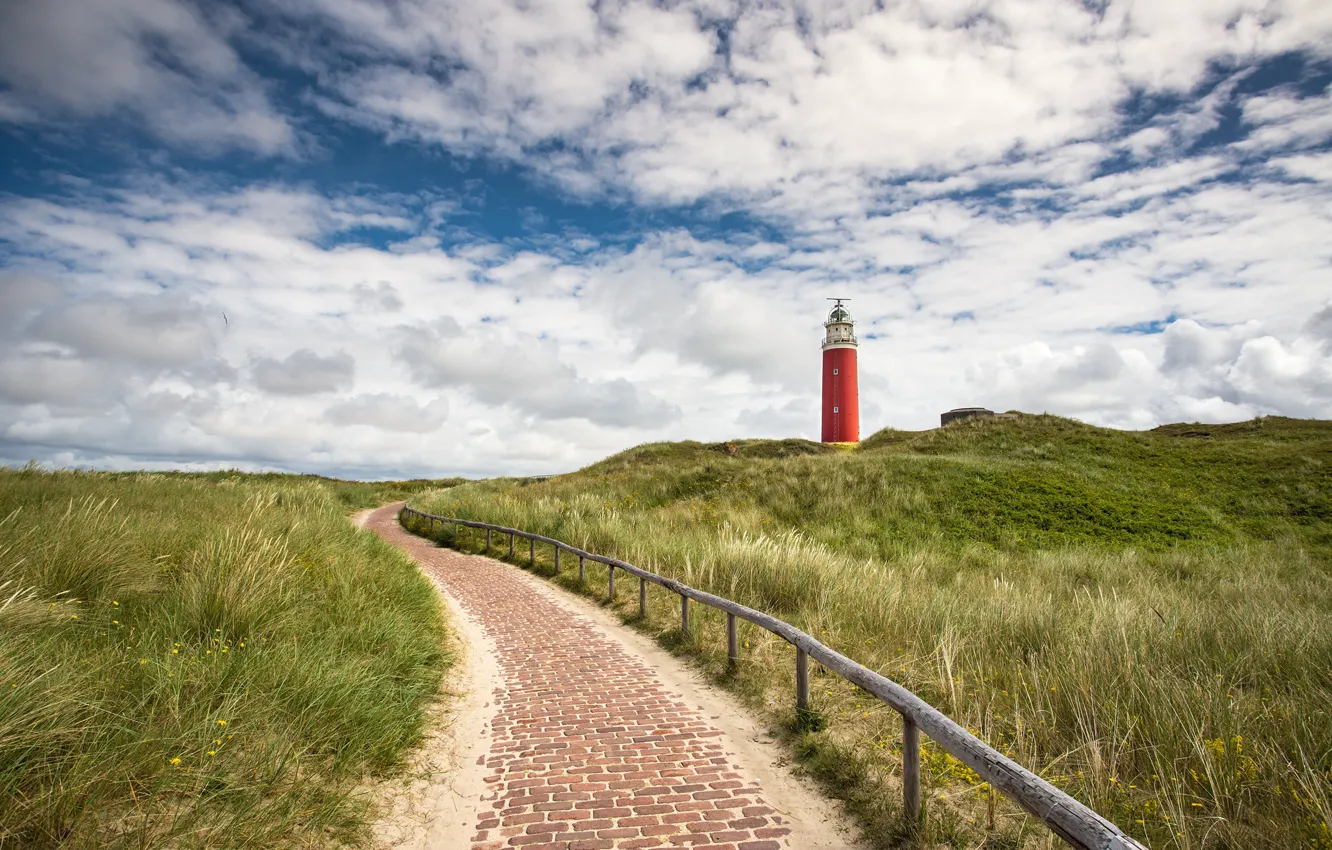 Photo wallpaper grass, lighthouse, Netherlands, Holland, Eierland