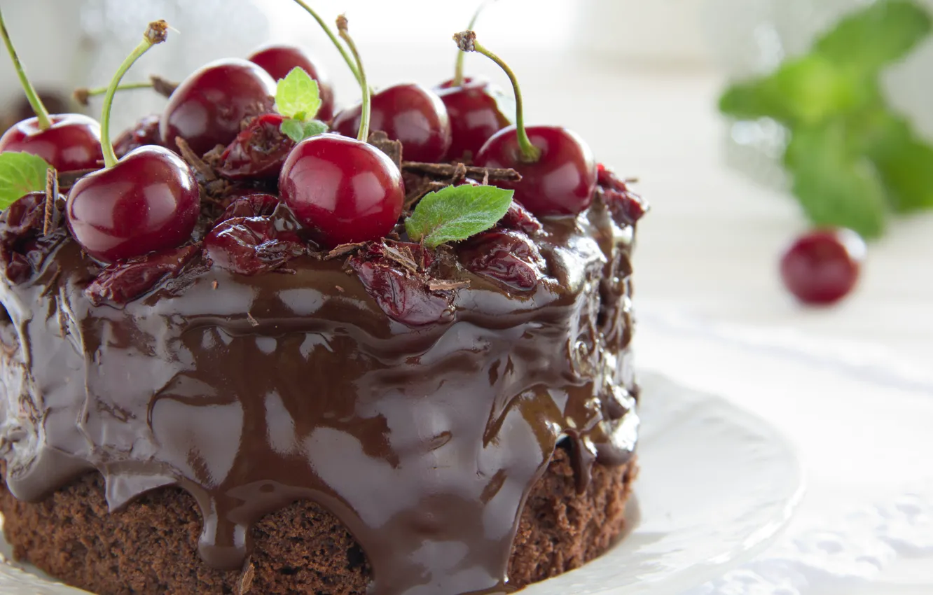 Photo wallpaper chocolate, cake, mint, cherries
