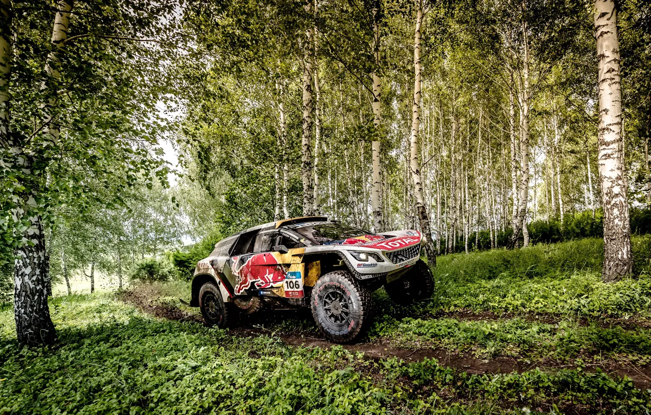 Photo wallpaper Forest, Sport, Speed, Race, Dirt, Peugeot, Birch, Lights