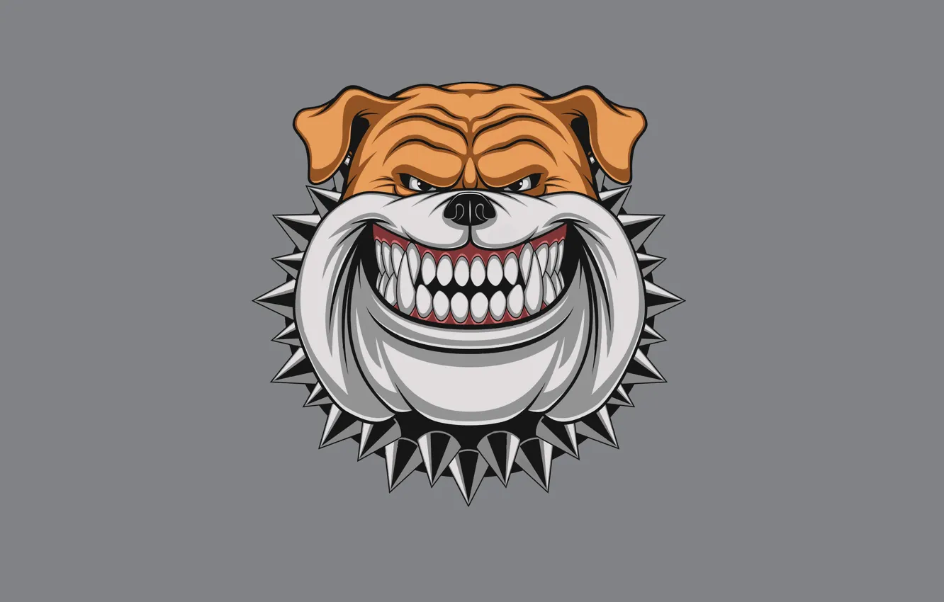 Photo wallpaper face, dog, minimalism, spikes, collar, dog