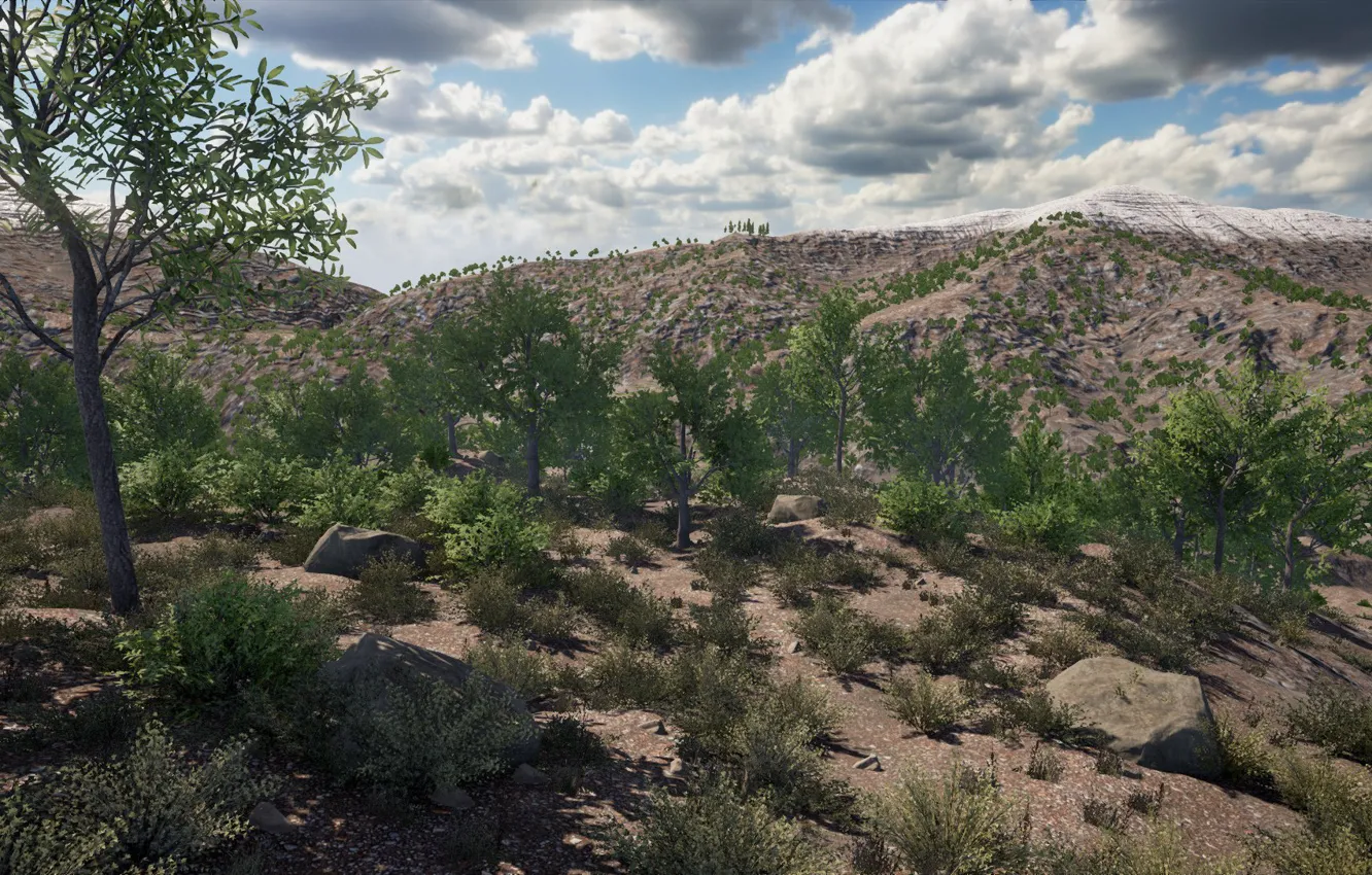 Photo wallpaper game, forest, forests, sun, squad, squad game, game squad