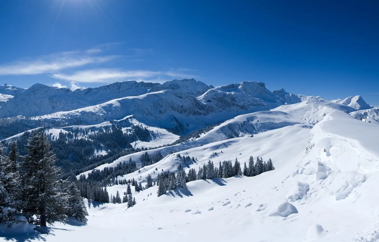 Photo wallpaper snow, trees, mountains, the rays of the sun