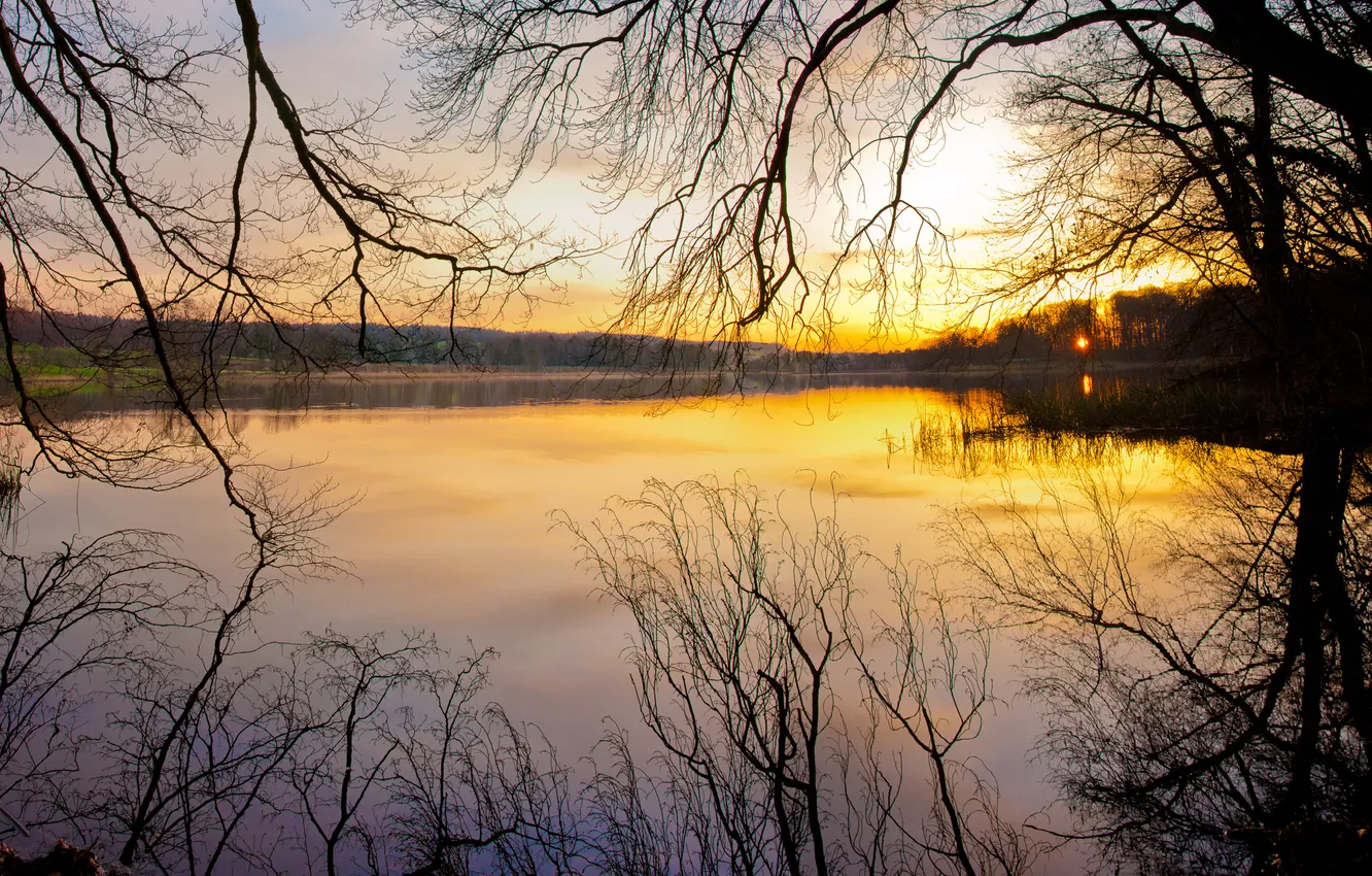 Photo wallpaper sunset, branches, nature, river, the evening