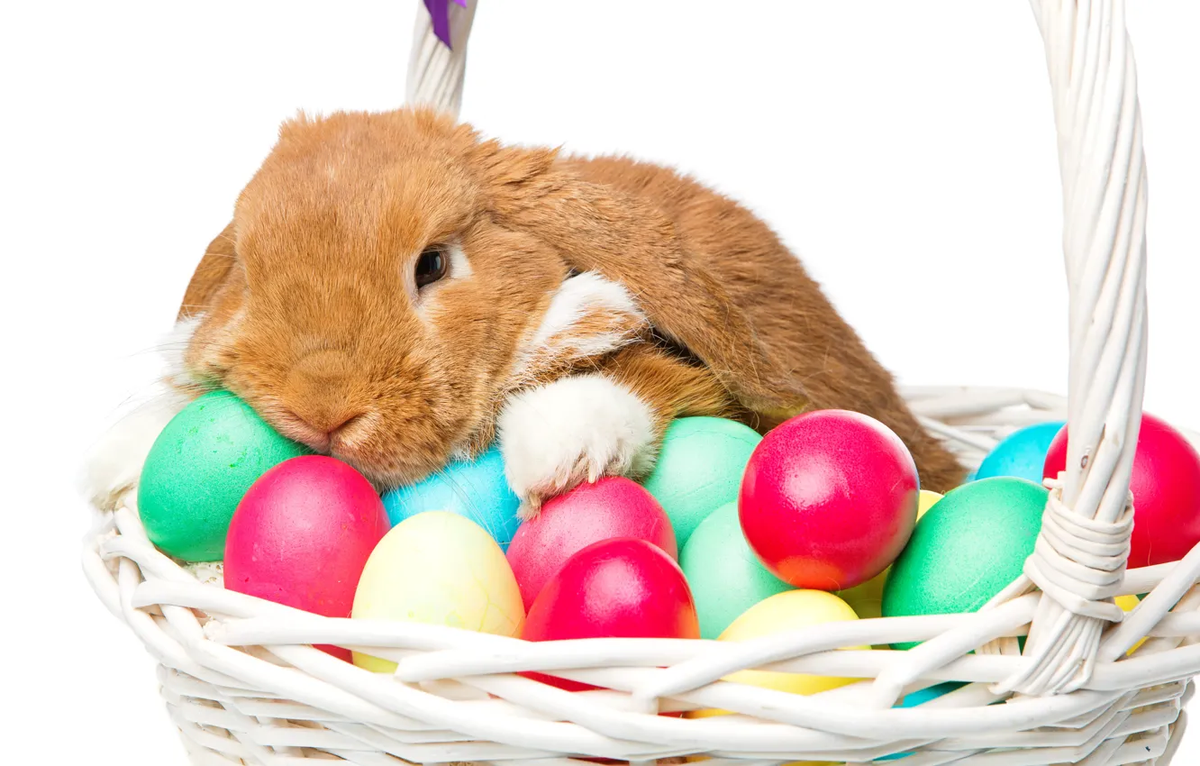 Photo wallpaper basket, rabbit, Easter, happy, rabbit, spring, Easter, eggs