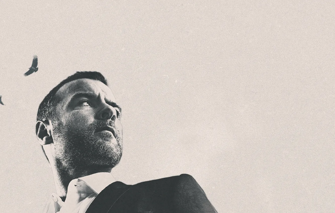 Photo wallpaper Eagle, bird, movie, Liev Schreiber, Ray Donovan