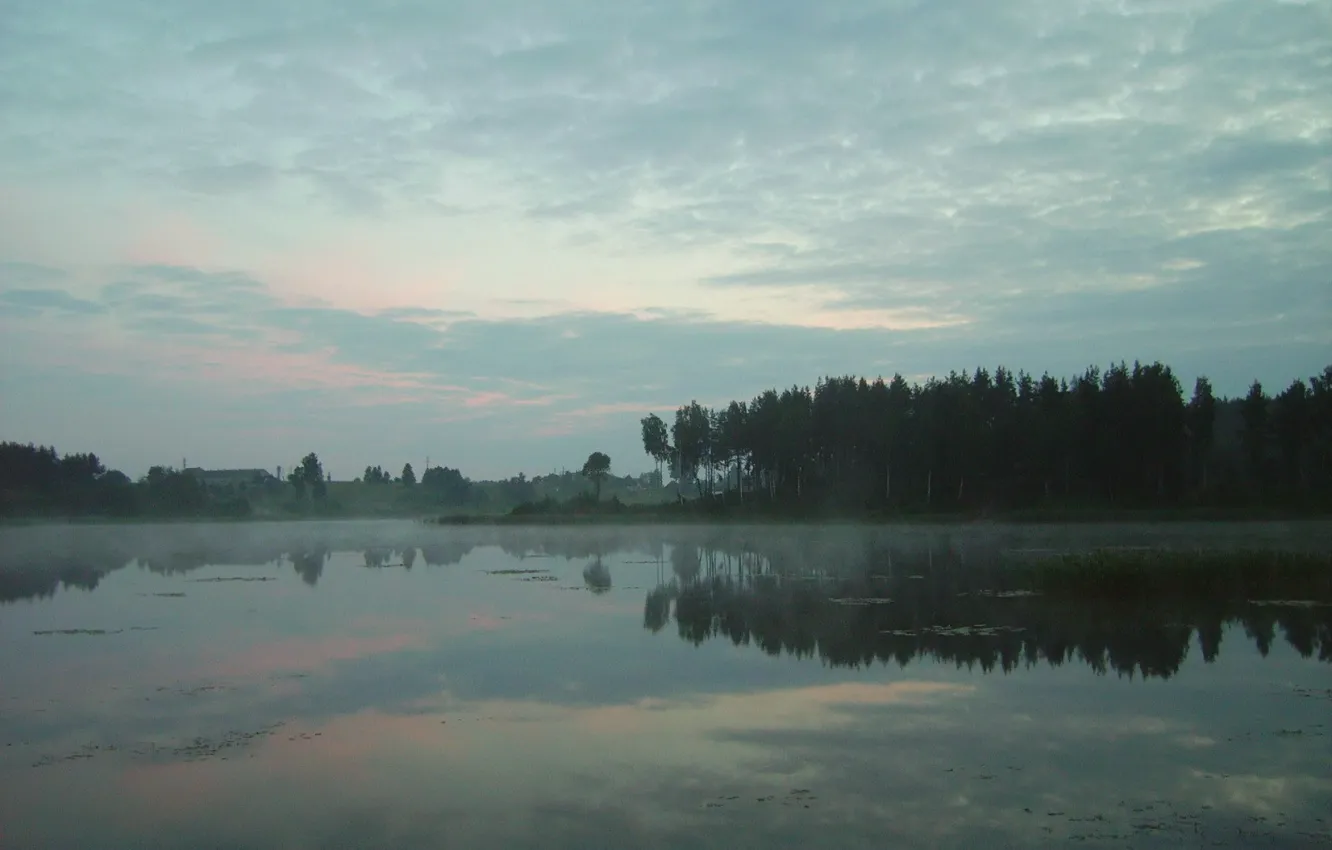 Photo wallpaper trees, lake, nicer
