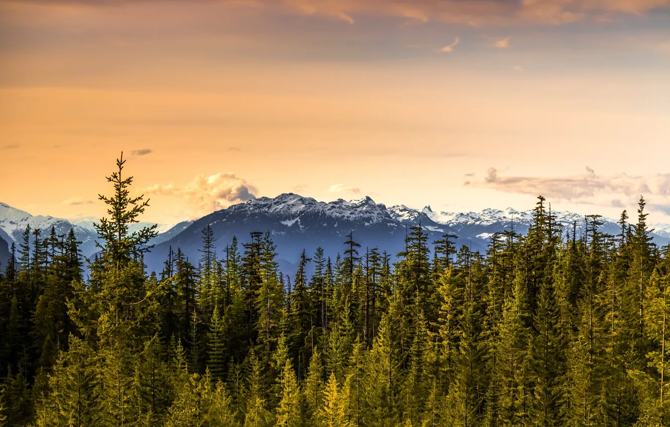 Photo wallpaper Canada, British Columbia, Squamish