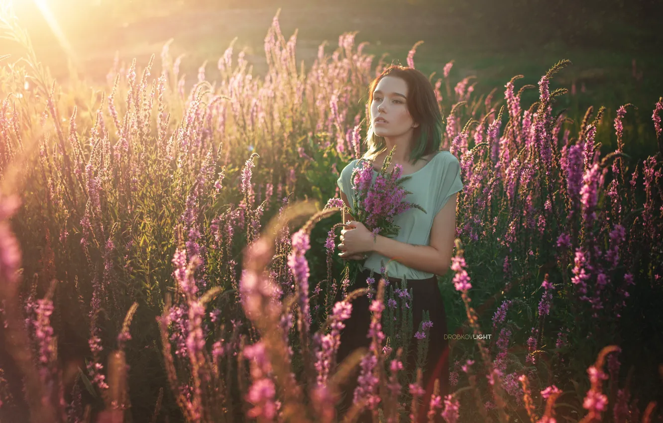 Photo wallpaper girl, flowers, mood, meadow, Alexander Drobkov-Light, Maria Larina