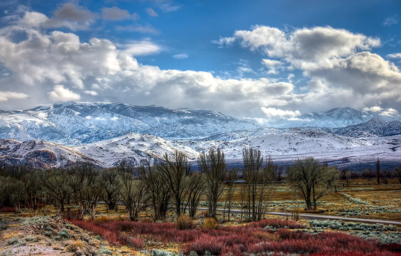 Photo wallpaper road, trees, landscape, mountains