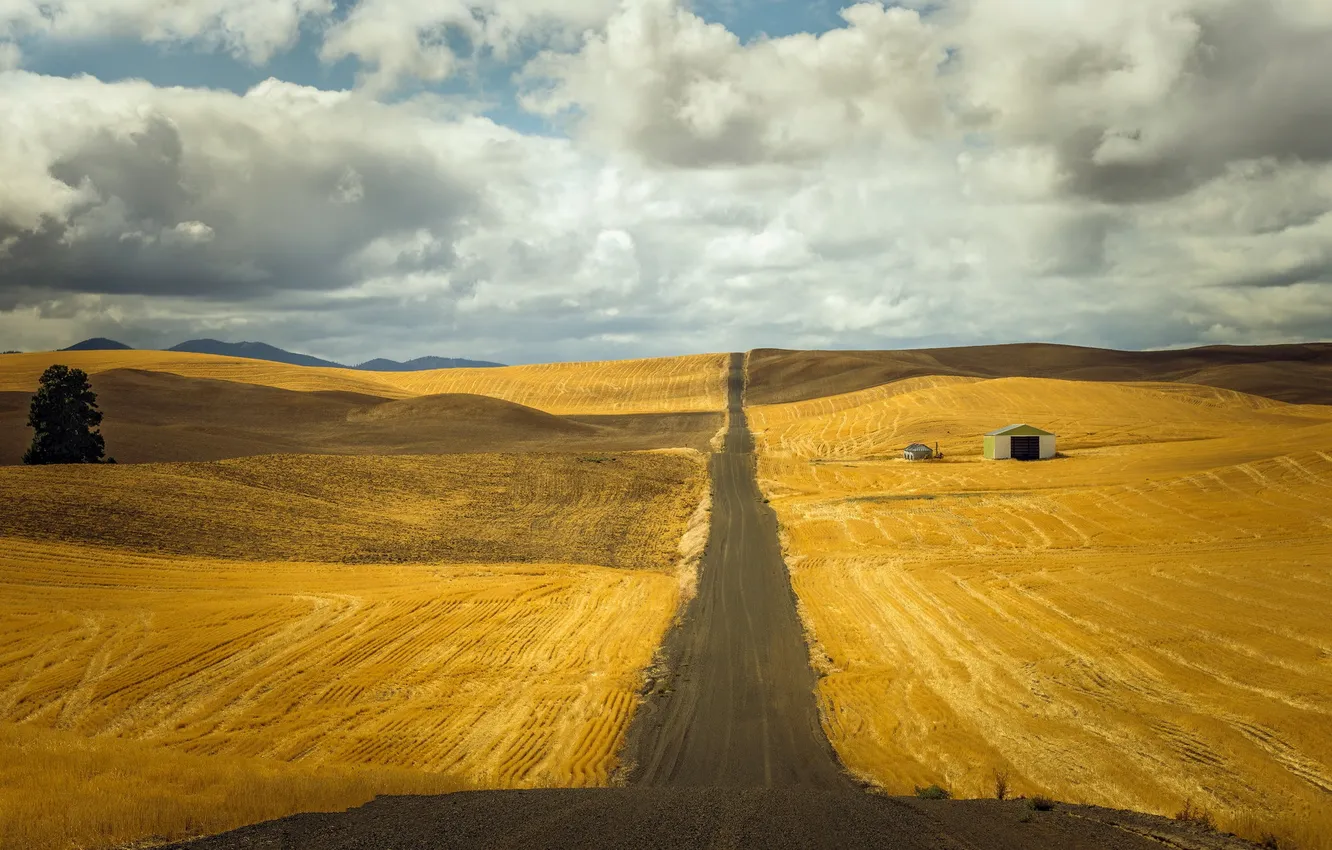 Photo wallpaper Washington, Great Beyond, Waterville Plateau, Douglas County