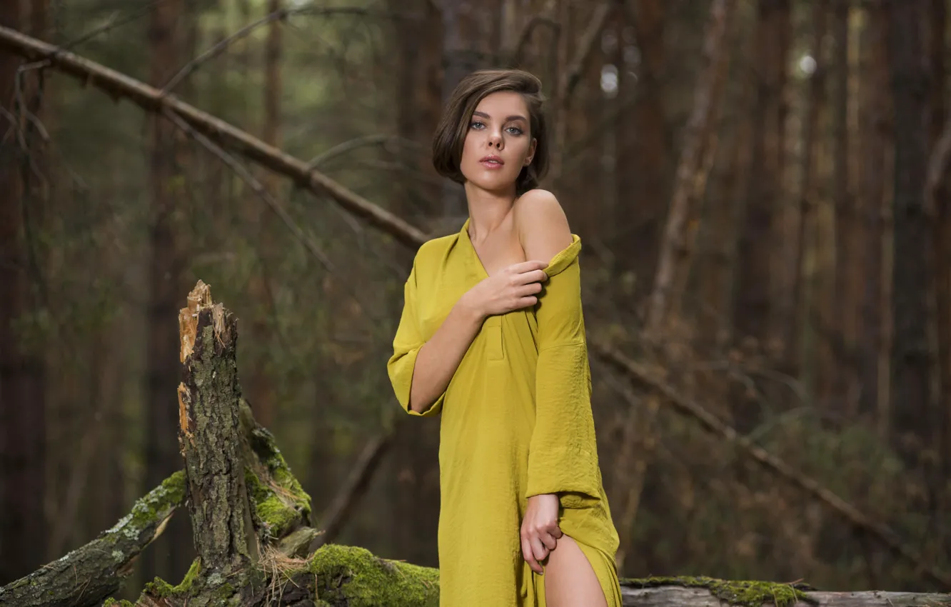 Photo wallpaper dress, brunette, Dakota A, wearing, from-Met-Art, In Forest