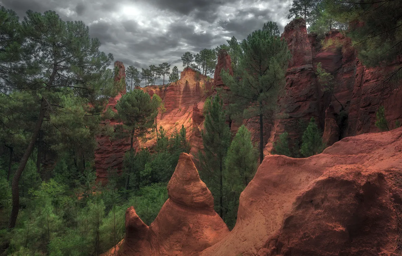 Photo wallpaper the sky, trees, mountains