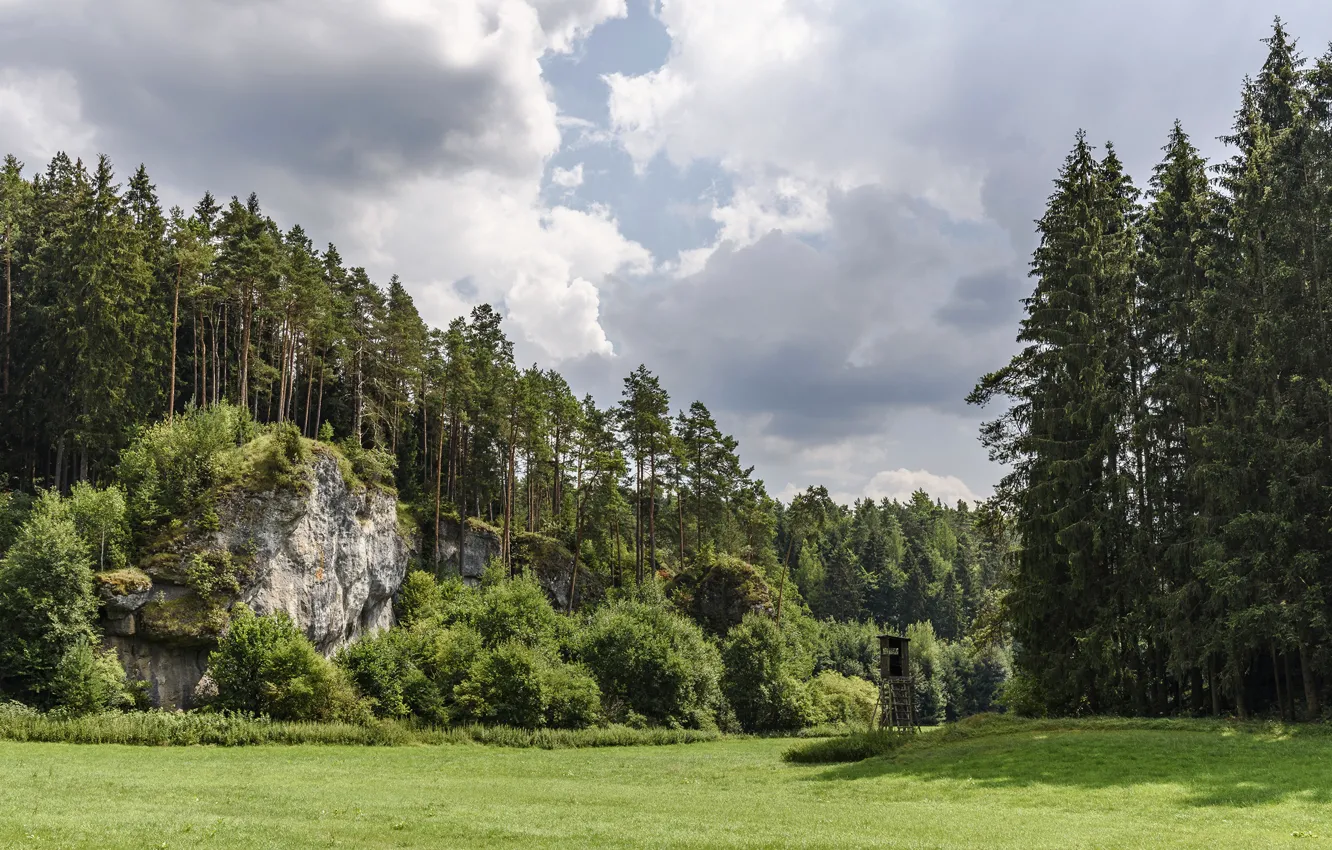 Photo wallpaper forest, the sun, rocks, Bayern, Hollfeld