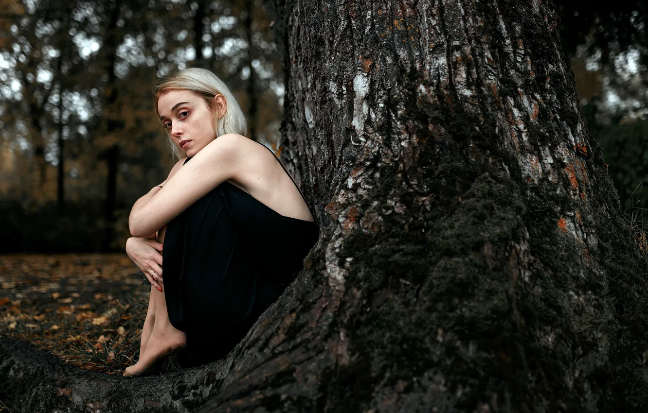 Photo wallpaper look, trees, pose, model, portrait, makeup, dress, hairstyle