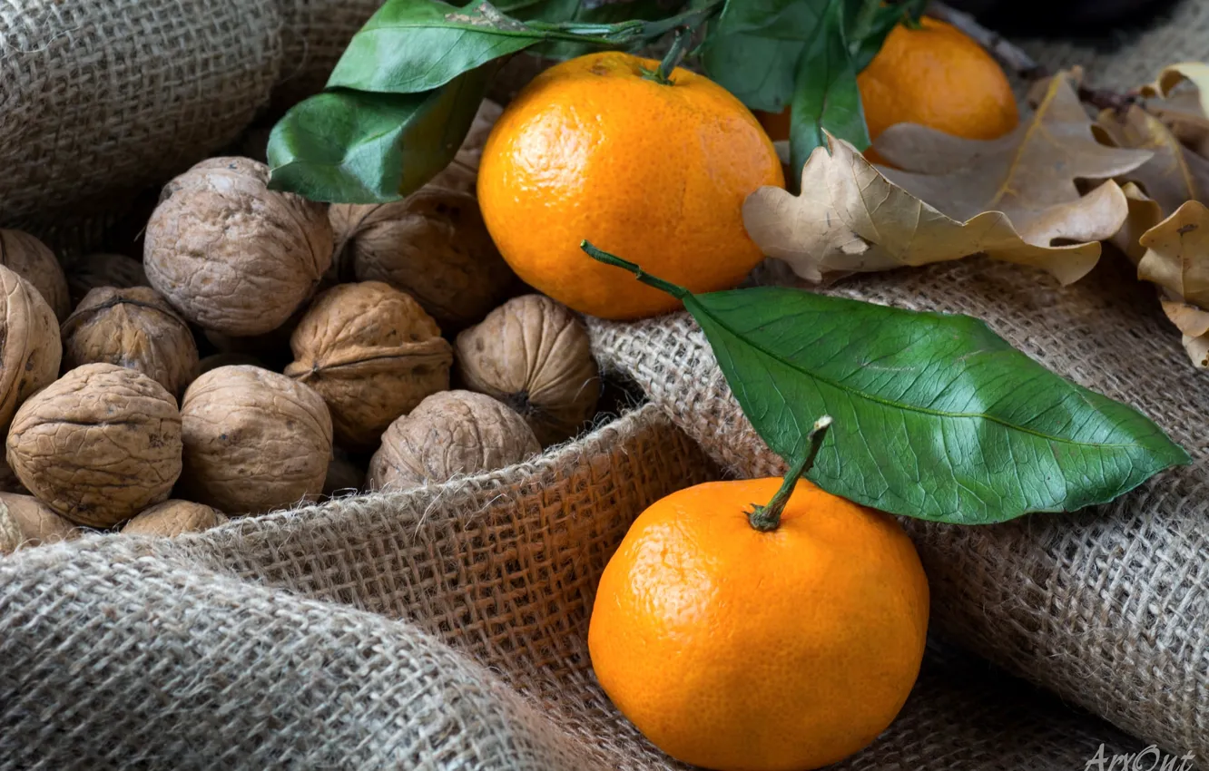 Photo wallpaper burlap, tangerines, walnuts