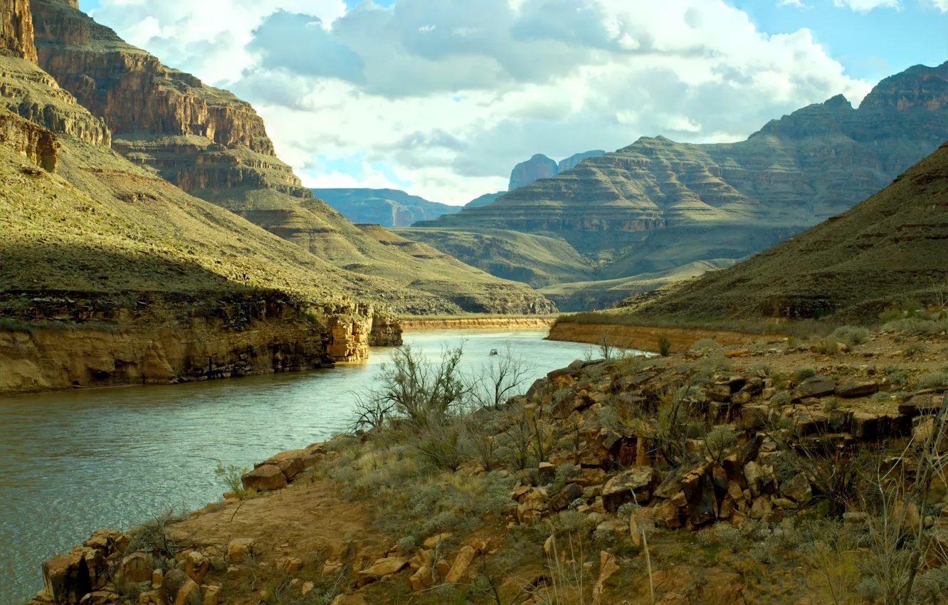 Photo wallpaper river, USA, USA, river, The Grand Canyon, Grand Canyon