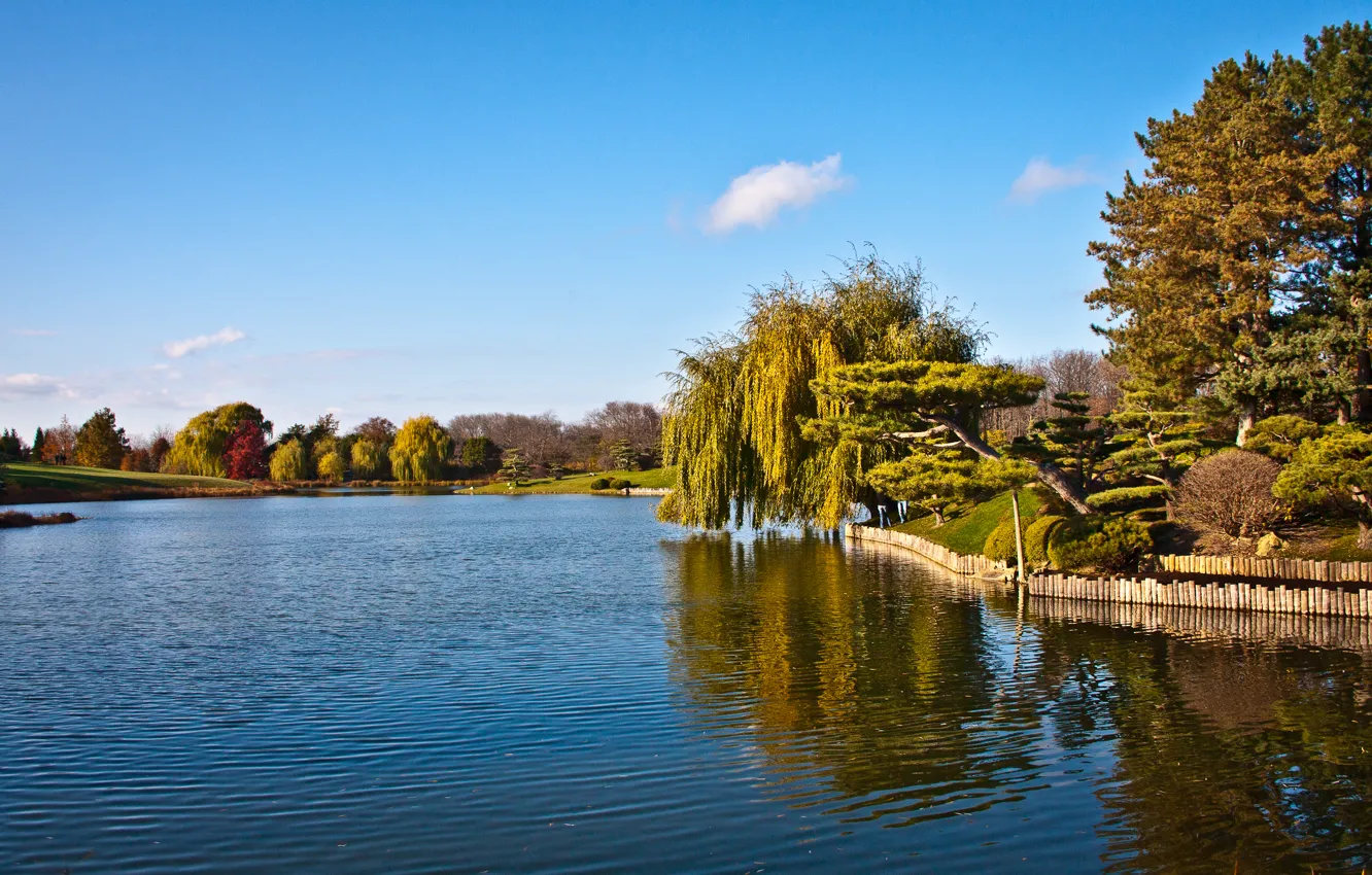 Photo wallpaper the sky, water, trees, IVA
