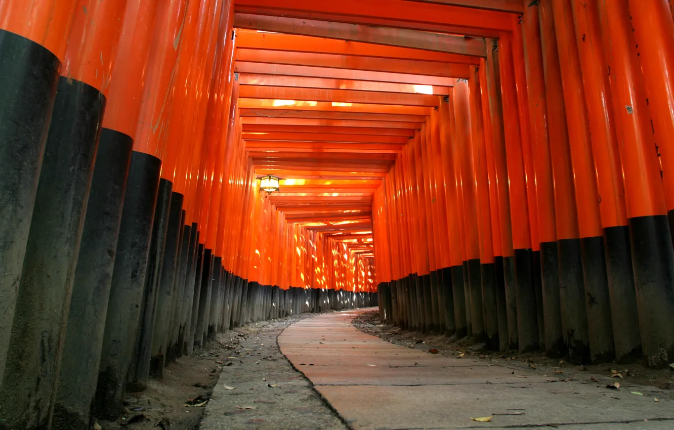 Photo wallpaper trees, red, black, Japan, temple, Shinto