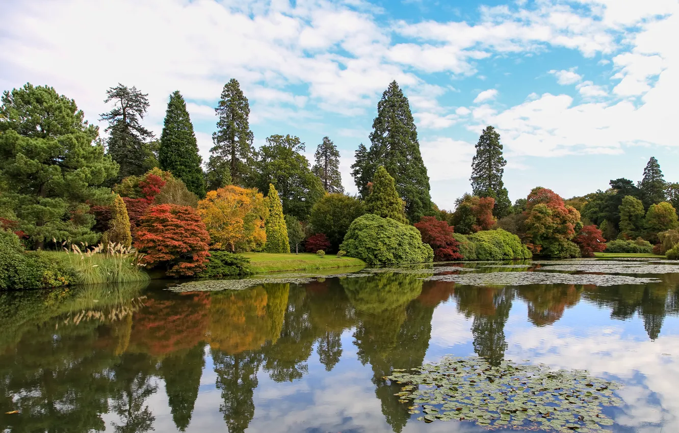 Photo wallpaper autumn, the sky, clouds, trees, pond, Park