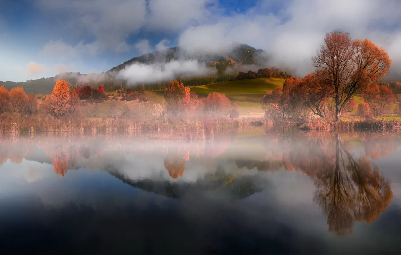 Photo wallpaper autumn, forest, the sky, clouds, trees, mountains, nature, fog