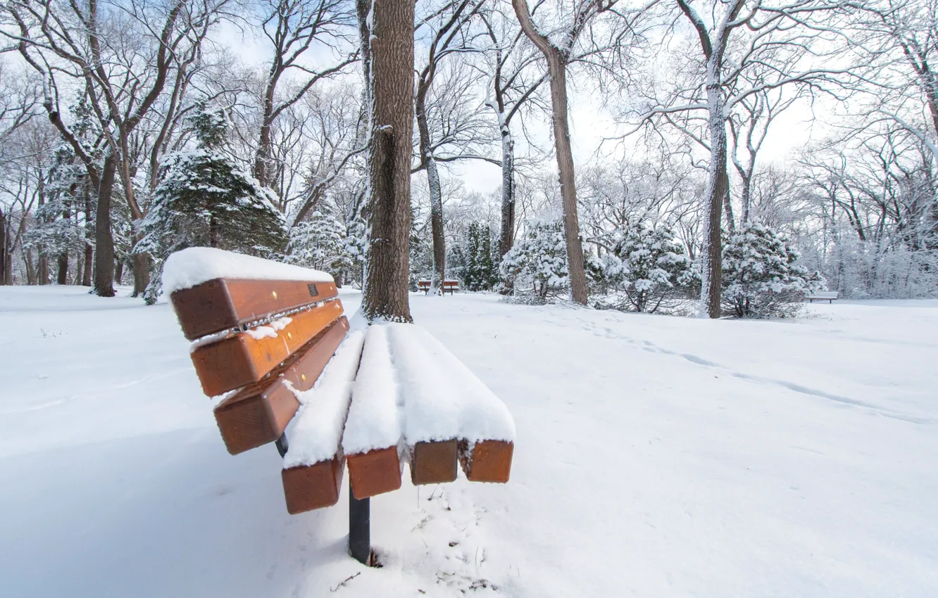 Photo wallpaper winter, snow, trees, nature, Park, square, bench