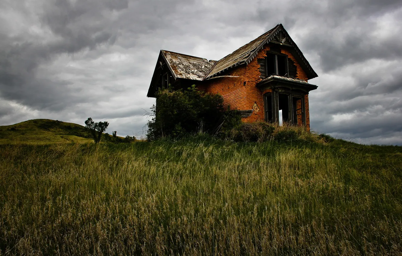 Photo wallpaper field, background, home