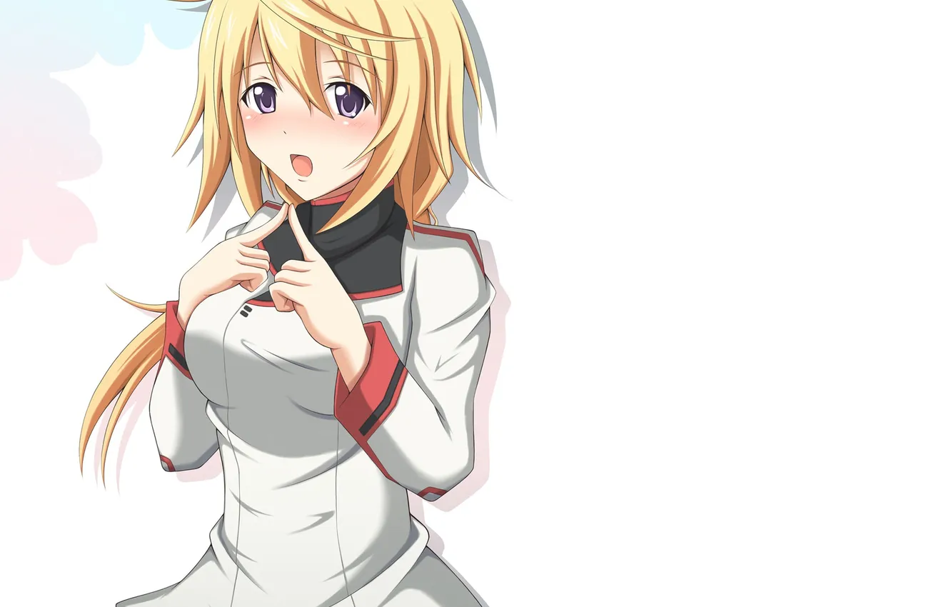 Photo wallpaper Single, female, Charles Dunois, Infinite Stratos
