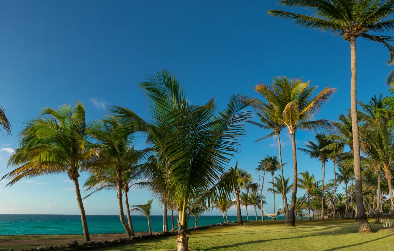 Photo wallpaper beach, sea, ocean, nature, sunset, beautiful, Cuba, Varadero