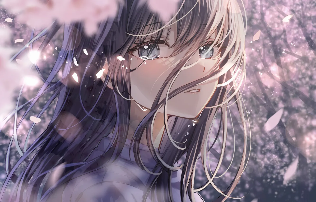Photo wallpaper girl, Sakura, tears, flowering