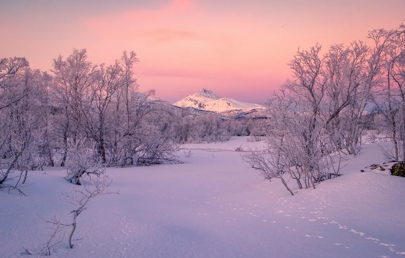 Photo wallpaper winter, snow, trees, mountains, traces, Norway, Norway, Troms