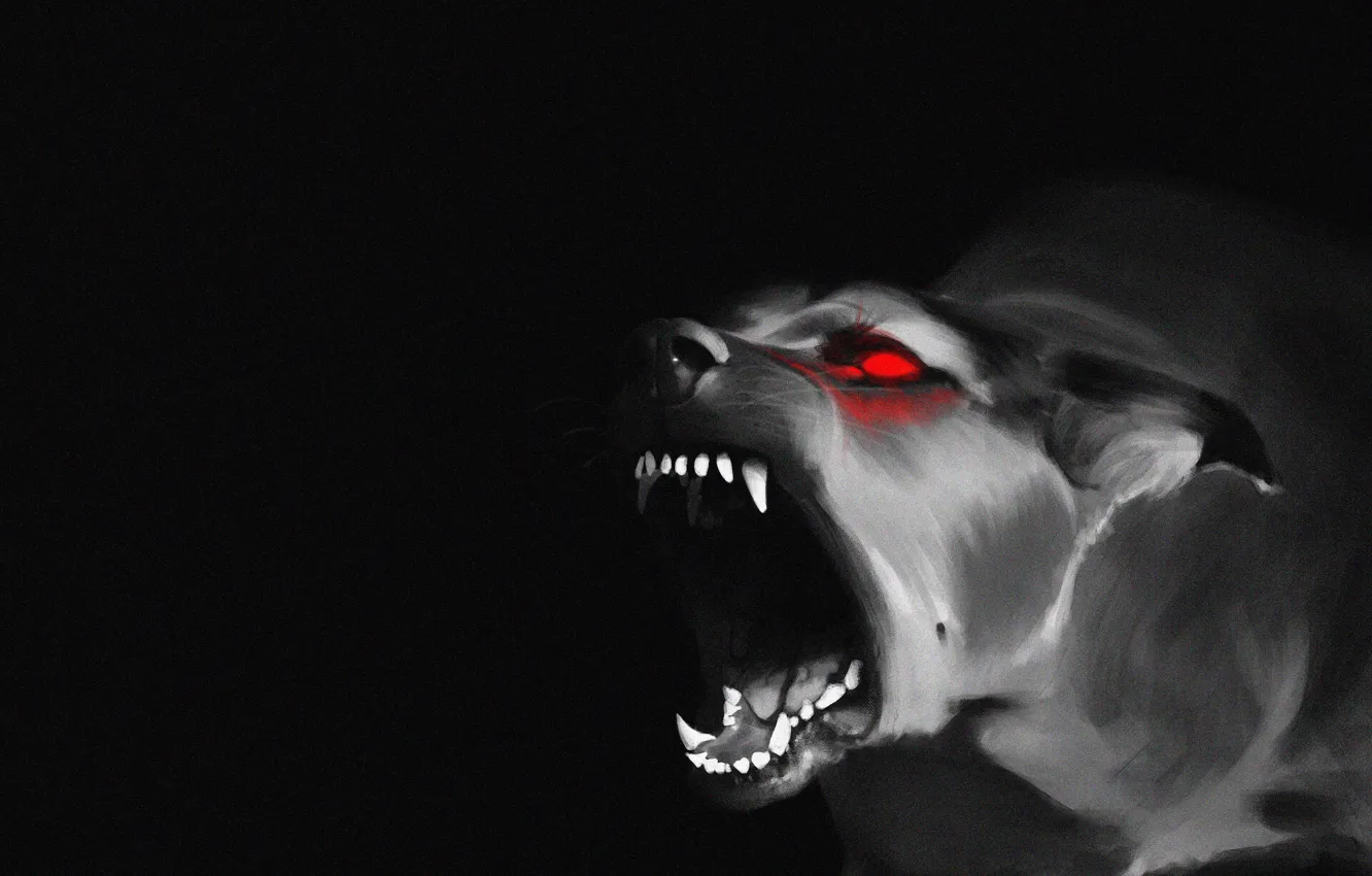 Photo wallpaper Dog, Look, Black background, Mouth, Fangs, Art, Grin, Bite