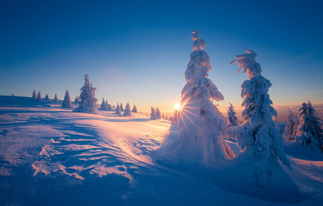 Photo wallpaper winter, the sun, rays, snow, trees, landscape, sunset, mountains