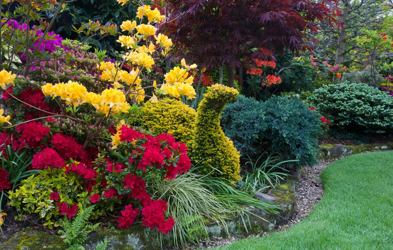 Photo wallpaper grass, trees, flowers, design, lawn, England, garden, the bushes