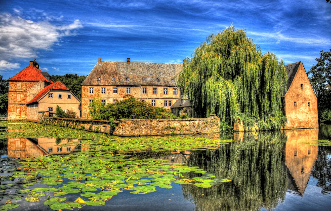 Photo wallpaper pond, home, structure, IVA