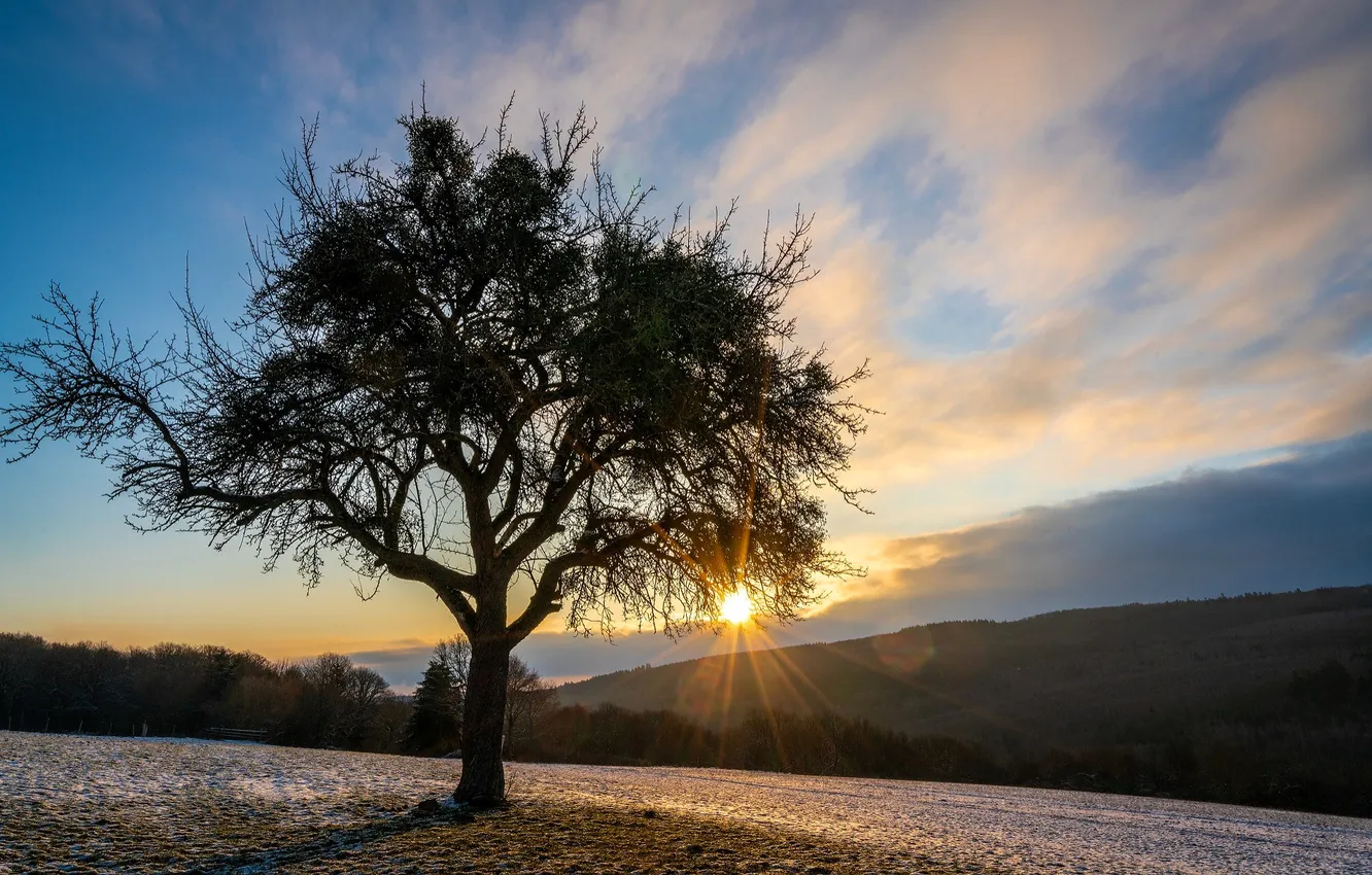 Photo wallpaper frost, field, the sky, clouds, trees, sunset, mountains, valley