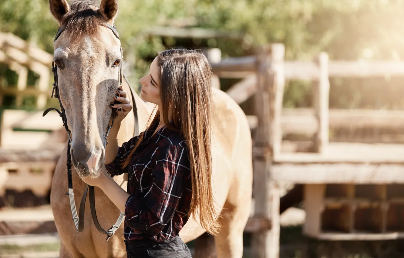 Photo wallpaper look, girl, light, pose, each, horse, horse, the fence