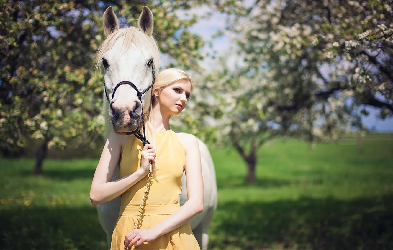 Photo wallpaper girl, mood, horse, spring