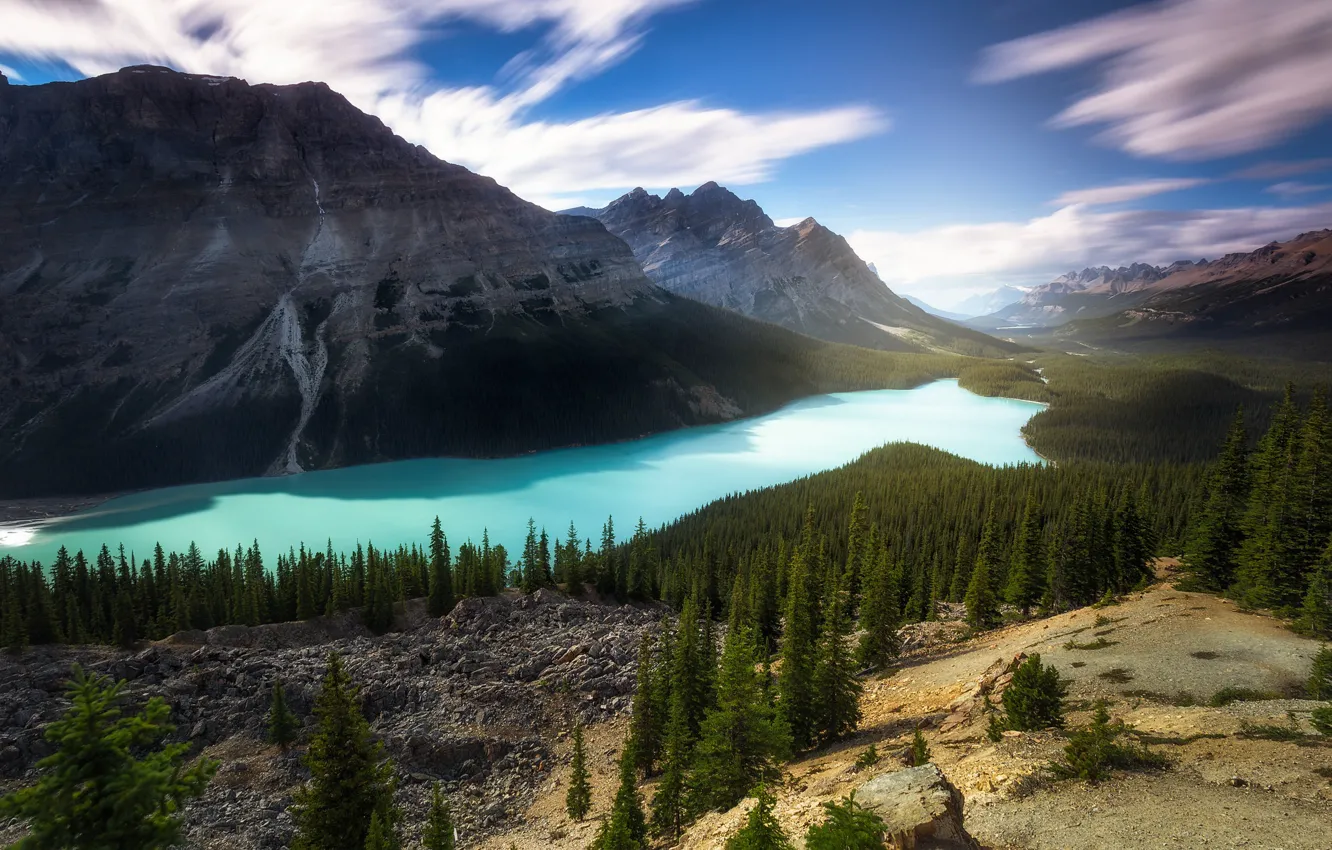 Photo wallpaper forest, mountains, lake, rocks, Canada