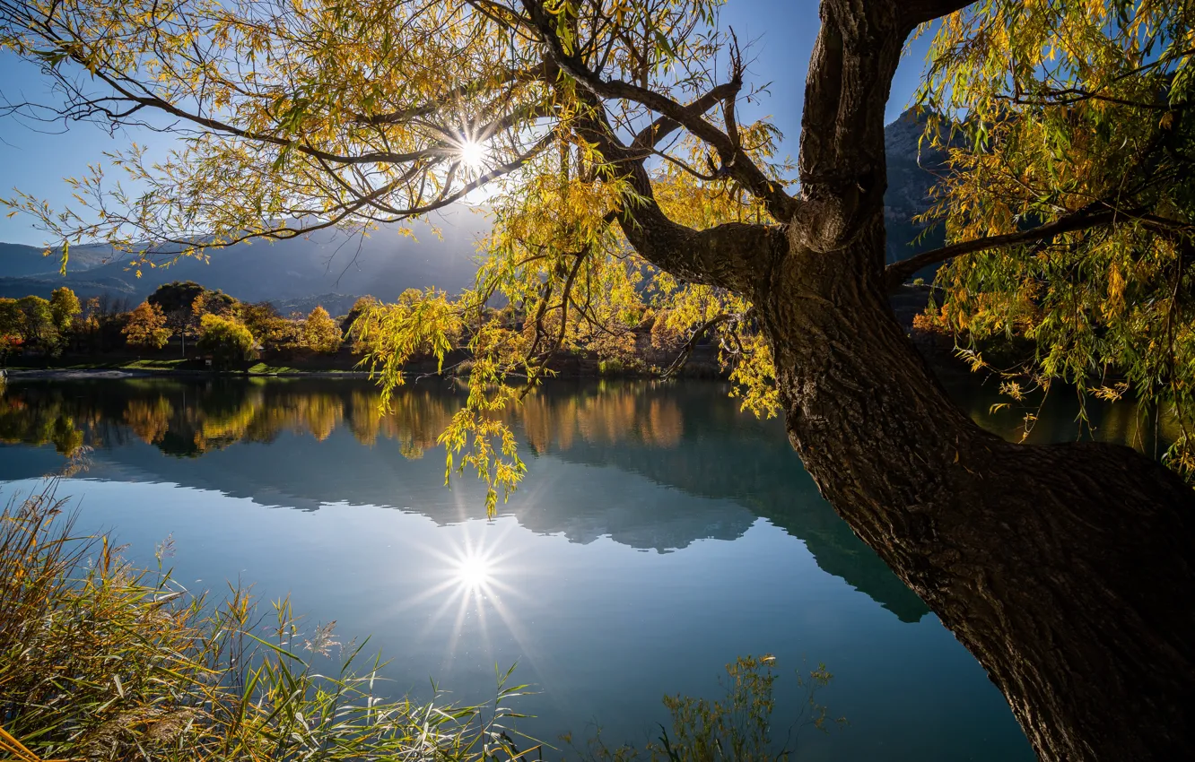 Photo wallpaper autumn, trees, lake, reflection, France, France, La Roche-de-RAM, La Roche-de-Rame