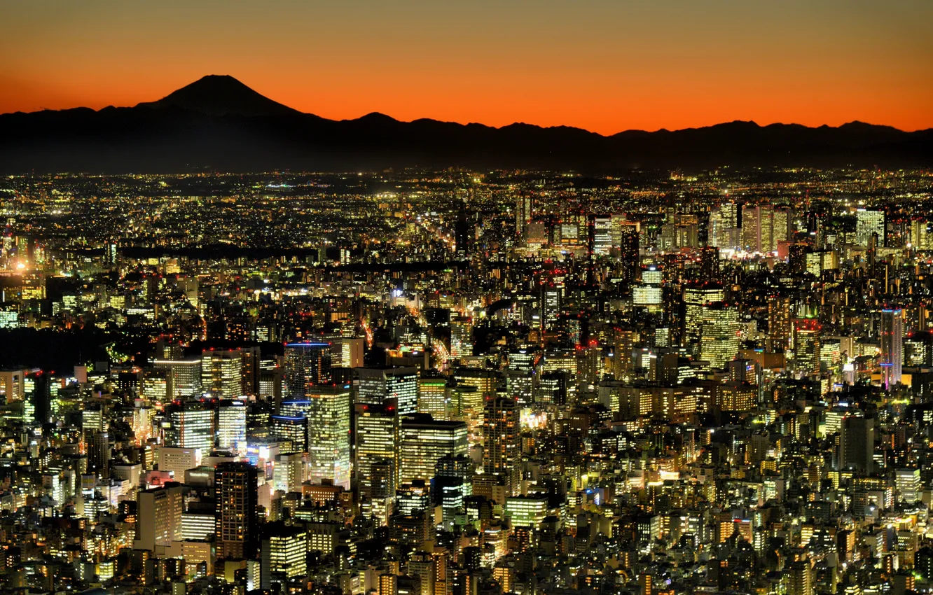 Photo wallpaper lights, Tokyo, panorama, megapolis